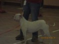 /album/uci-cechy/img-1834-jpg/